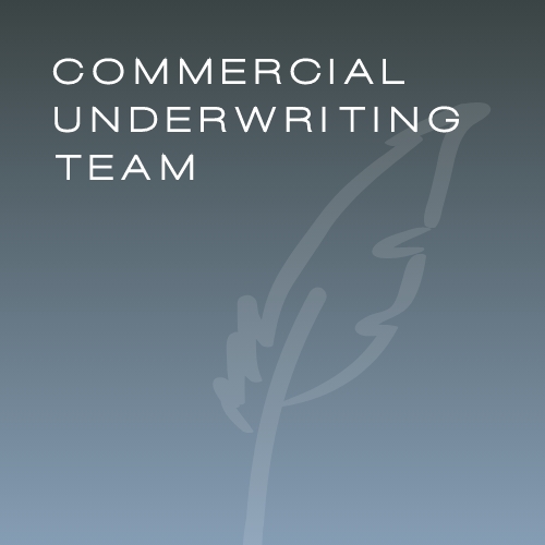 Commercial Underwriting Team